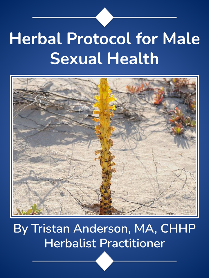 Cover of Herbal Protocol for Male Sexual Health PDF