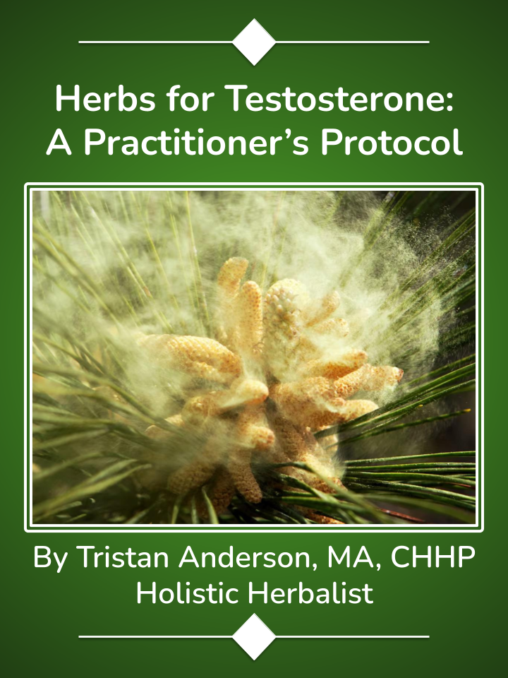 Herbs for Testosterone: A Practitioner’s Protocol