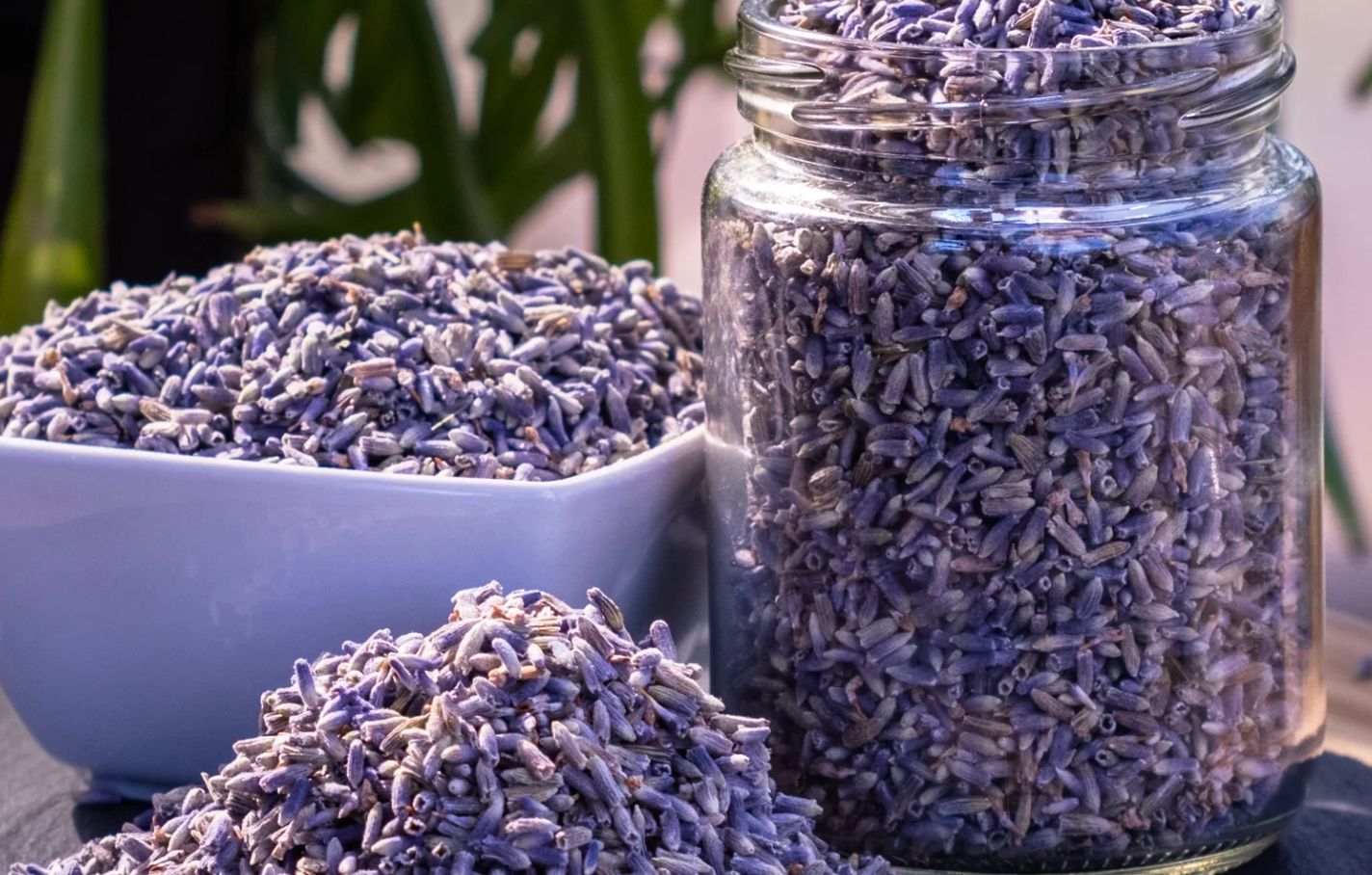 Dried lavender in a jar and bowl with a blurred green background.