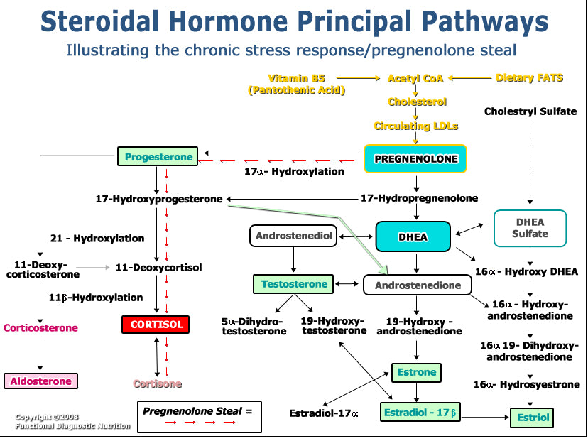 Steroidal Hormone Principal Pathways Chart